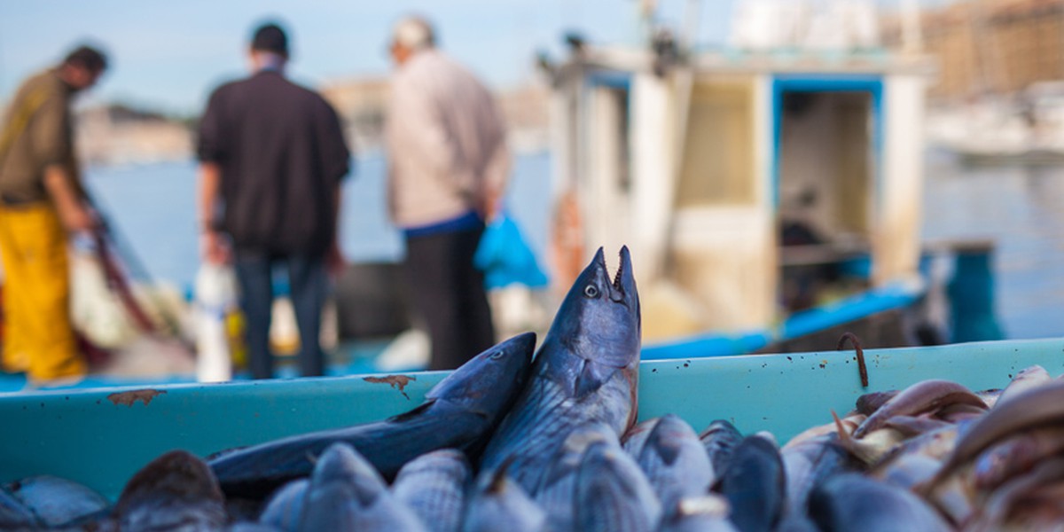 Associazione Pescatori Italiani
