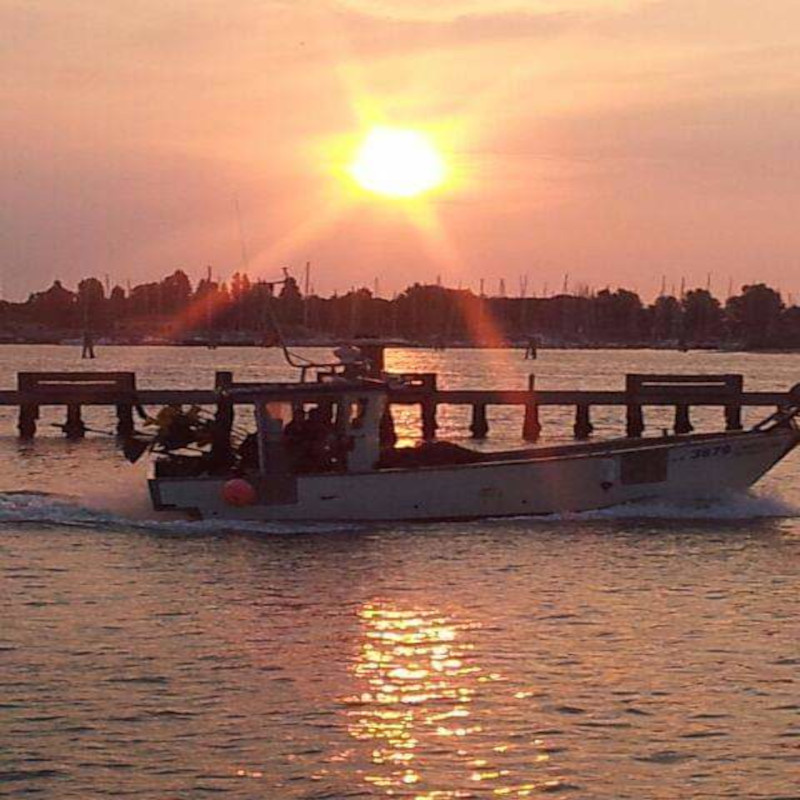 Pesca Professionale