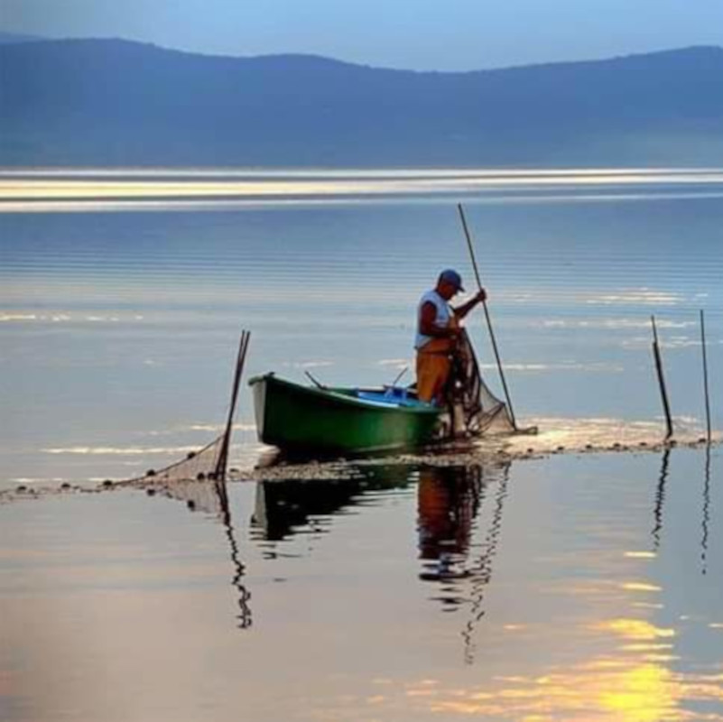 Acquacoltura
