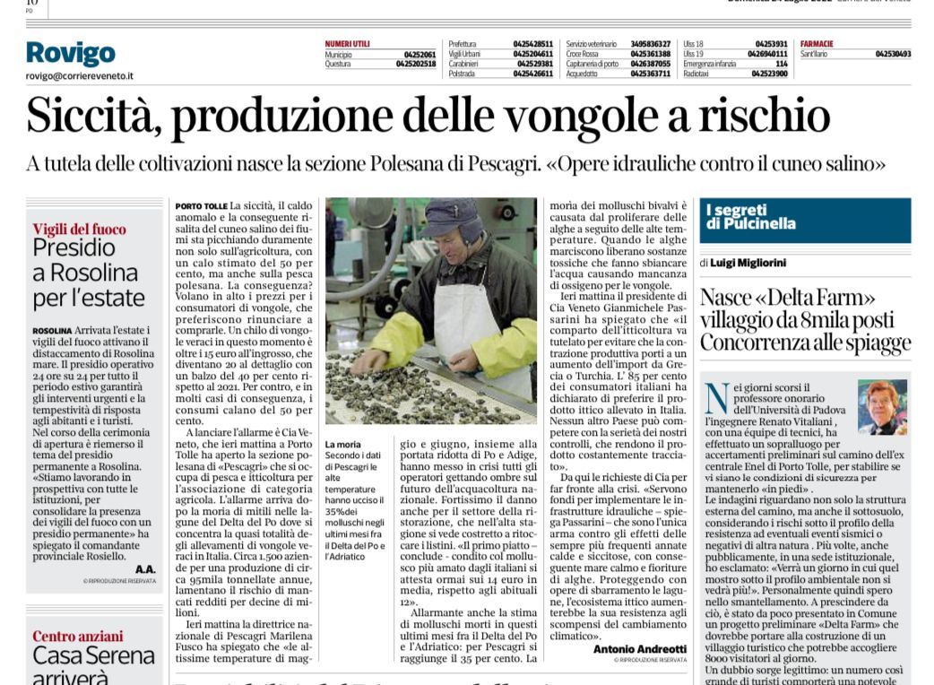 Siccita delle vongole a rischio